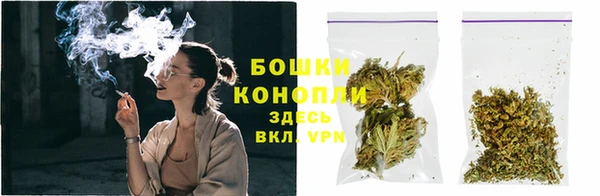 бошки Верея