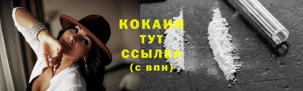 бошки Верея