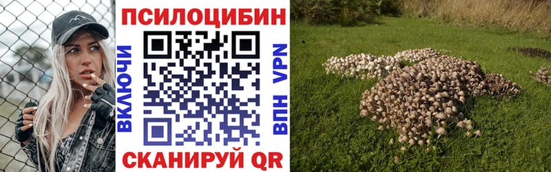 продажа наркотиков  Кандалакша  Галлюциногенные грибы ЛСД 